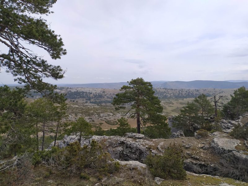 33. Alto_Tajo (2)