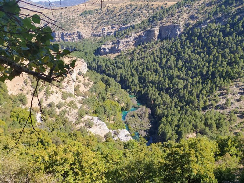33. Alto_Tajo (3)