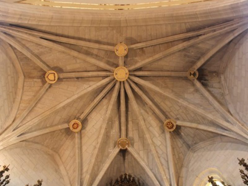 IMG_7102-480x375